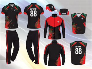 Uniforme de Cricket Powerhawke Hecho en India, Último Diseño 2022, Jersey de Manga Larga con Cuello, Sudadera y Chaqueta de Cricket - Product Image 4