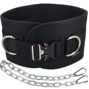 Nouvelle Arrivée Poids De Levage Trempage Ceinture Gym Pull Ups Powerlifting Fitness Workout Avec Chaîne En Métal ceinture de Soutien - Product Image 1