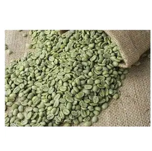 Wholesale Price Natural Robusta Green Coffee Beans Vietnam For Drinking Attractive Flavor ready to Export