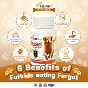 Lactomax Probiotische Geitenmelk Kauwtabletten Honden Immuun Darm Gezondheid Spijsvertering Ondersteuning Vanille Smaak Veilig Snel Absorptie Alles - Product Image 4