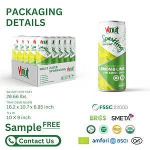Lime & Lemon Fruit Juice Sparkling Water Can Drink 250ml (8.5fl Oz) OEM ODM Private Label Wholesale Beverage Manufacturer - Product Image 6