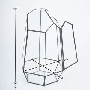 Glass Plant Box Irregular <b>Terrarium</b> Geometric Glass Best Quality Hanging Glass <b>Terrarium</b> Hot <b>Sale</b> Art Deco Design <b>for</b> Tabletop - Product Image 6