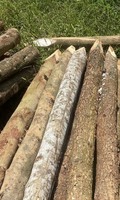 Estacas de madera de alta resistencia Postes de madera puntiagudos para esgrima Jardinería y paisajismo Suministros de jardín