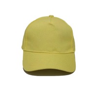 Topi Baseball Sport Unisex Model Lengkung, Bordir Logo Custom, Bahan Katun 100% Warna Emas Tembaga, Dapat Disesuaikan, Grosir, Promo 2025