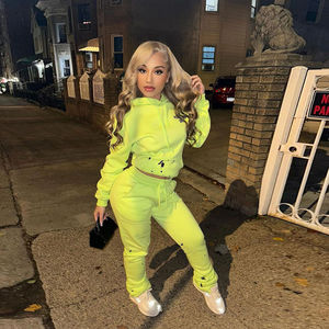 Elegante calle 2 piezas conjunto chándal personalizado Puff impreso chándal para las mujeres de gran tamaño de algodón polar al por mayor mujeres chándales - Product Image 5