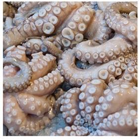 Pulpo Congelado a Precio Competitivo / Pulpo Congelado de Tailandia - Product Image 4