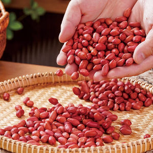 Núcleos Secos Crudos al por Mayor para Marcas de Snacks y Productores de Confitería - Suministro de Maní 100% Natural - Product Image 1