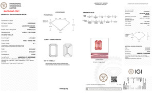 Coussin de diamants de laboratoire fantaisie, rose vif, émeraude Créé en laboratoire Coupe Asscher Forme fantaisie Diamants libres Catégorie - Product Image 5