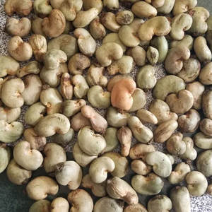 Noix de cajou crues de qualité supérieure Noix de cajou blanches entières sans coque OEM Emballage de marque personnalisé scellé sous vide en vrac prix de gros - Product Image 4