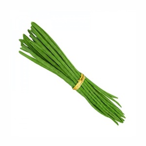 Muslo de verduras frescas a precio bajo a la venta - Product Image 5
