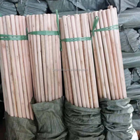 Balai à manche en bois d'eucalyptus, tête en plastique, poils doux, portable, naturel, 6 pouces, prix de gros usine, personnalisable, pas cher