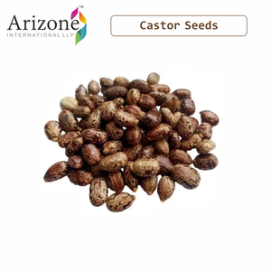 Indianjadibooti thầu dầu hạt giống 100% tự nhiên và chất lượng cao khô <span class=keywords><strong>ricinus</strong></span> communis Hạt giống xuất khẩu từ Ấn Độ - Product Image 2