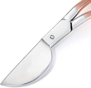 Ciseaux de manucure professionnels en acier inoxydable durable bec de canard Machine ciseaux ciseaux de broderie édition noire - Product Image 3