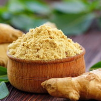 POUDRE DE GINGEMBRE CHOLA SUPERALIMENTS POUDRE DE GINGEMBRE PREMIUM GRADE POUDRE DE GINGEMBRE FACILEMENT DISPONIBLE AU VIET NAM