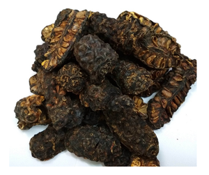 Fruits Noni séchés du Vietnam à bas prix pour l'exportation Morinda Citrifolia tranches et poudre de Noni séchées de haute qualité à vendre - Product Image 1