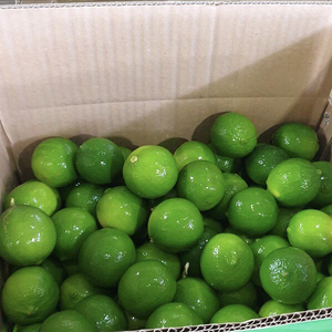 มะนาวไร้เมล็ดสดออร์แกนิกจากประเทศไทย บรรจุ 10 กก. คุณภาพสูงสำหรับผู้จัดจำหน่ายผลไม้ พร้อมจัดส่งรวดเร็ว - Product Image 2