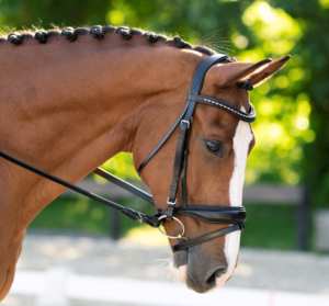 Weymouth Cavesson Crank Logotipo personalizado Ecuestre Western Horse Brida y Halter Set para carreras - Product Image 3