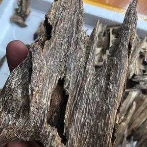 Les copeaux de bois de oud sont utilisés comme encens qui peuvent vous aider à faire de la méditation, du yoga ou de la relaxation - Product Image 3