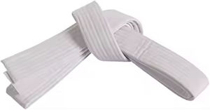 Vente en gros Design personnalisé professionnel MMA boxe Jiu Jitsu Gi uniforme Judo karaté Taekwondo Arts martiaux OEM disponible THT PORTE - Product Image 3