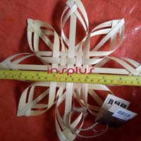 INSPLUS Expert - Servicios Profesionales de Inspección y Control de Calidad de Artesanías Antes del Envío en Vietnam, Modelo INS2504-04