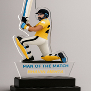 Trofeo de acrílico pulido y duradero para cricket, premio al hombre del partido para eventos deportivos, reconocimiento al jugador, proveedor mayorista - Product Image 1
