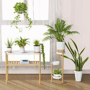Meuble d'extérieur pour plantes - Product Image 3