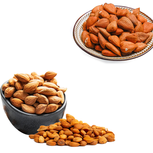 เมล็ดแอปริคอท | บรรจุสำหรับห่วงโซ่อุปทานความงามขายส่ง - Product Image 4