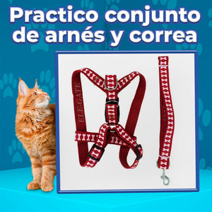 Imbracatura in Morbida Rete di Poliestere con Guinzaglio, Stile Gilet Personalizzato per Animali Domestici di Piccola Taglia, per Passeggiare con il Cane - Disponibile nelle Taglie M, L, XL - Product Image 1