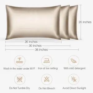 19mm Silk Pillow Case Cover Pure Mulberry Silk Envelope Or Zipper Mulberry Silk Pillowcase Gift Box