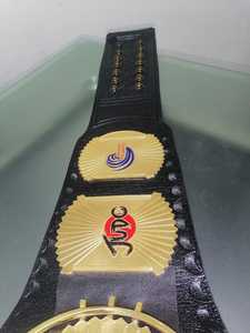 Cinturones de campeonato personalizados Trofeos Medallas y premios El símbolo definitivo de Victoria y excelencia Cinturones de Campeonato - Product Image 6