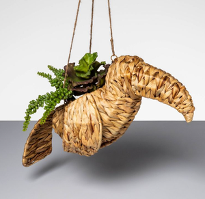 Colección de decoración Tropical para el hogar, tocadiscos colgante de agua para loros, acentos decorativos para pasillo, decoración del hogar, novedad - Product Image 4