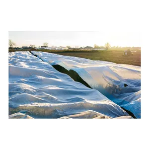 Factory Price Excellent Quality Wholesale 100% PP Polypropylene Spunbond Non Woven Fabric for Agriculture Use