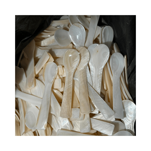 Cuchara de caracola tradicional vietnamita para una buena cena-Cuchara de caracola natural con perla pulida, hecha a mano para exportación y regalo - Product Image 1