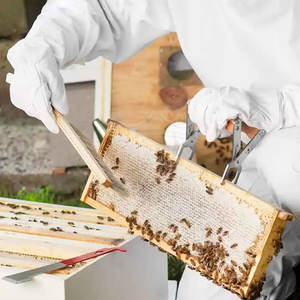 Gants d'apiculture en cuir à séchage rapide de haute qualité Gants de sécurité au design personnalisé Vente en gros - Product Image 6