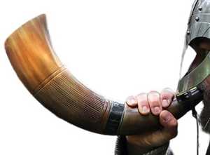 Shofars de cuerno para ceremonias religiosas Ideal para uso en soplado Adecuado para India Sofar de cuerno de alta calidad - Product Image 2