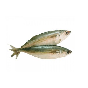 Pescado orgánico congelado de caballa a granel, fresco, entero, redondo, del Pacífico, sal de caballa, grasa conservada, gran oferta, mariscos - Product Image 3