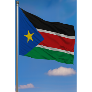 Drapeau extérieur du Soudan du Sud avec logo personnalisé, impression numérique, bannières en aluminium, soie et plastique – pour l'assurance automobile et l'éducation - Product Image 3
