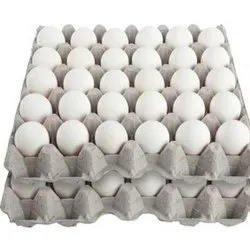 Œufs frais de la ferme indienne de qualité supérieure à coque blanche du Tamil Nadu riches en nutriments et en calcium, meilleurs pour la santé - Product Image 3