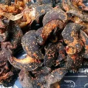 Caracoles Gigantes Africanos 100% Naturales Secos al por Mayor - Product Image 3