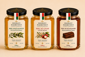 Collection Prestige Honey Harvest Trio 3x250g Miel Pur de Madagascar Eucalyptus Litchi Rosewood Blossom - Product Image 5