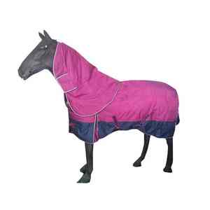 El Paso Perfecto: Llevando una Herencia de Honor y Orgullo en Cada Galope, un Mundo de Maravillas Dentro de la Manta de Equitación - Product Image 4