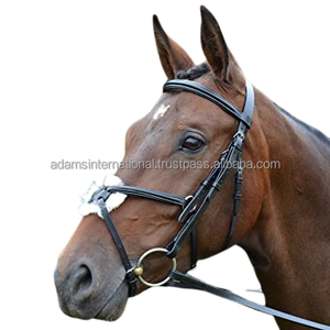 Chaque taille est disponible dans cette bride mexicaine cheval en cuir - Product Image 2