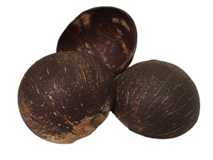 Tazón de Cáscara de Coco Orgánico 100% Ecológico Hecho a Mano por EUTECH, Color Marrón Natural, Diámetro 13-14 cm, Profundidad 6 cm, Impermeable y Pulido - Product Image 3