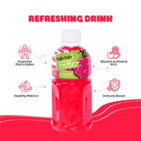 Jus de raisin rouge premium avec purée de nata de coco, bouteille PET 11 fl oz, vente en gros, fournisseurs de jus de fruits VINUT