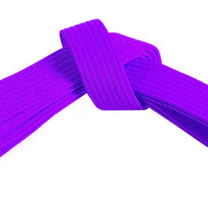 Cinturones de uniformes de artes marciales de Karate Judo profesional de calidad superior Equipo de gama alta para artistas marciales - Product Image 2