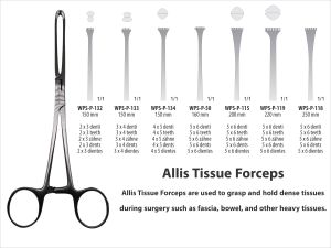 WORLD PRECISION SURGICAL Pince à tissus Allis, instrument chirurgical dentaire pour la préhension des gencives et des tissus mous, en acier inoxydable, 150 mm, CE - Product Image 4