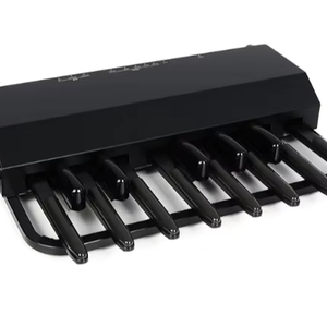 Authentique TOP XPK-130G 13-Note Midi Sound Pedalboard avec Premium BB Tone en vente Tuba Accessoire - Product Image 1