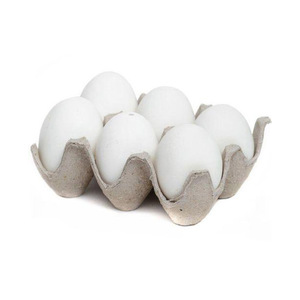 Huevos de Gallina de Alta Calidad, Frescos y Naturales, Precio al por Mayor, Productos Animales - Product Image 1