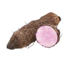 TOP EXPORT FROZEN PURPLE YAM UBE FROM SUPPLIER AT COMPETITIVE PRICE