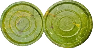 Assiettes jetables en feuilles de palmier indiennes, assiettes organiques indiennes, assiettes jetables en feuilles de palmier |   Assiettes en feuilles naturelles |   Assiettes biodégradables - Product Image 2